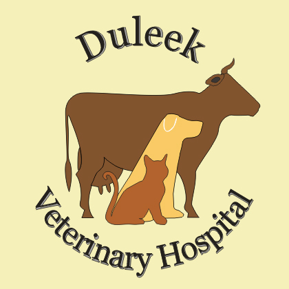 DuleekVet logo